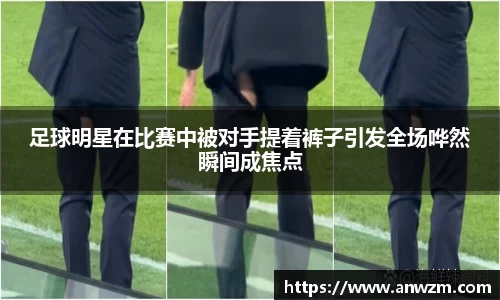 zoty中欧官方app下载